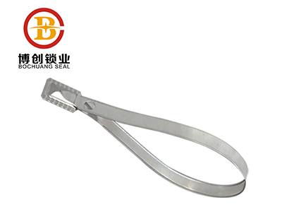 Metal Strap Seal 