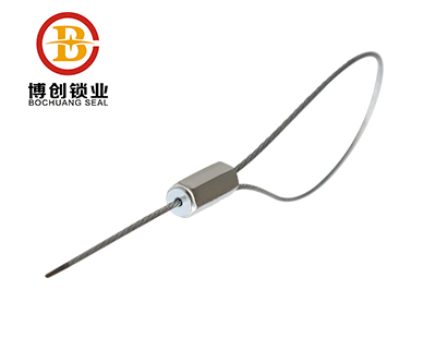 Cable Wire Seal for Container Seal BC-C103