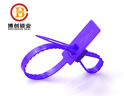 Double lock Plastic bag security Seal BC-P301