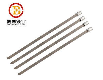 Metal strap seals for freight container BC-S105