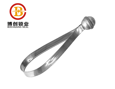BC-S102 Anti-rotation barrier meter strap seal