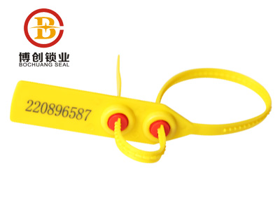 plastic lock seal