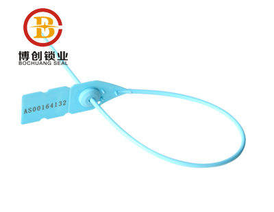 Colorful self locking plastic seal with special design